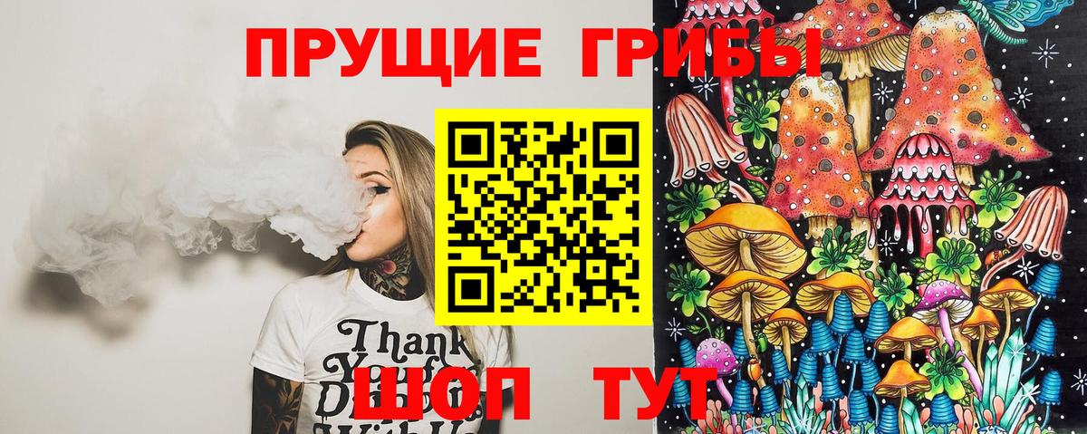Нарткала  Псилоцибиновые грибы Psilocybine cubensis  Вход с VPN 